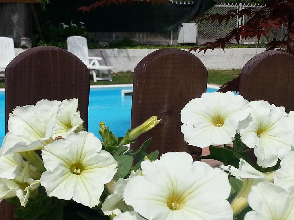 B&B Desenzano Дезенцано-дель-Гарда Экстерьер фото