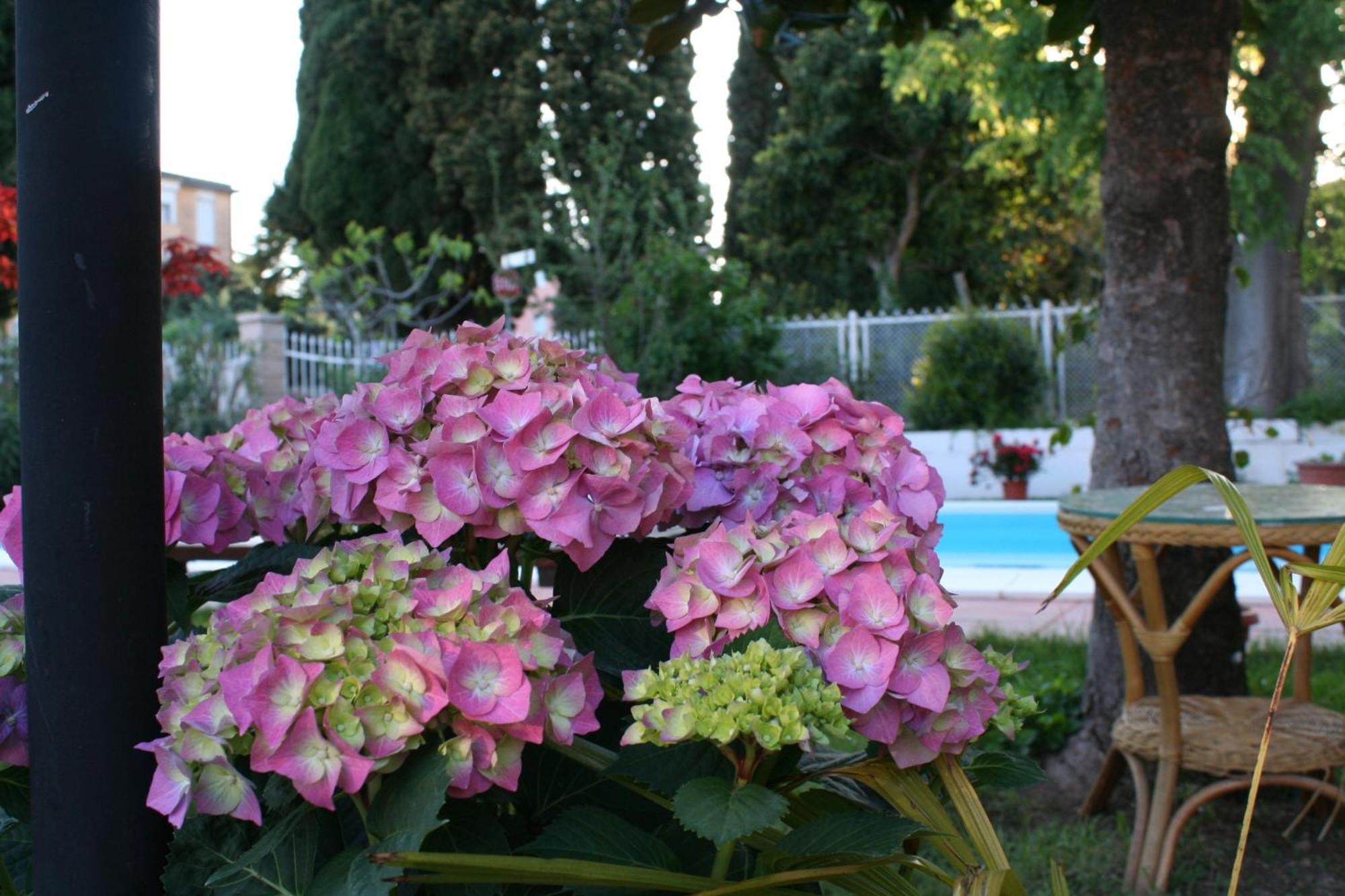 B&B Desenzano Дезенцано-дель-Гарда Экстерьер фото