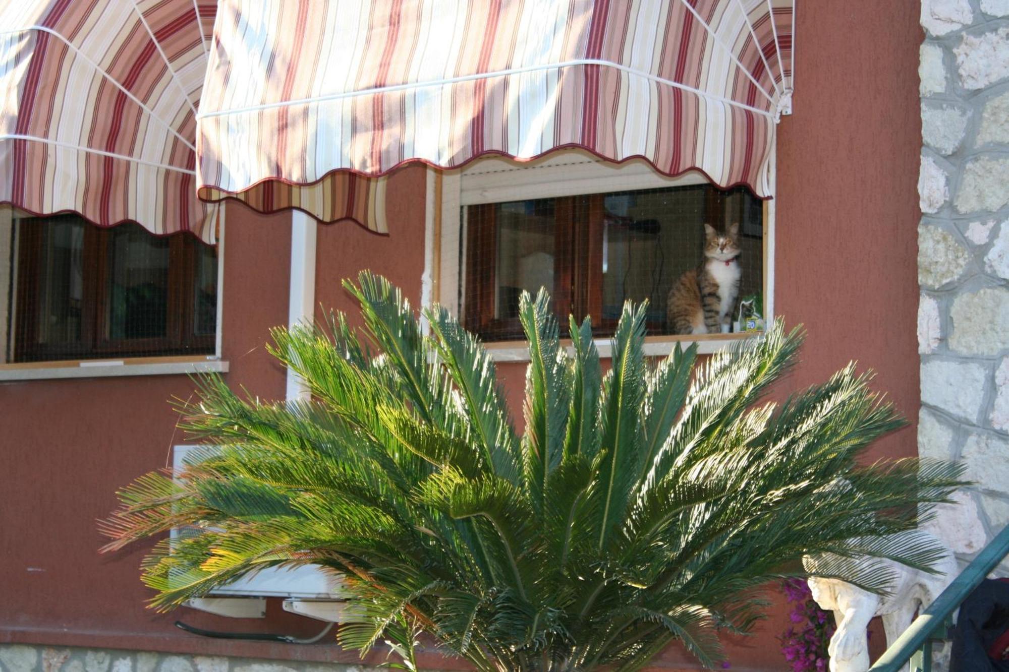 B&B Desenzano Дезенцано-дель-Гарда Экстерьер фото