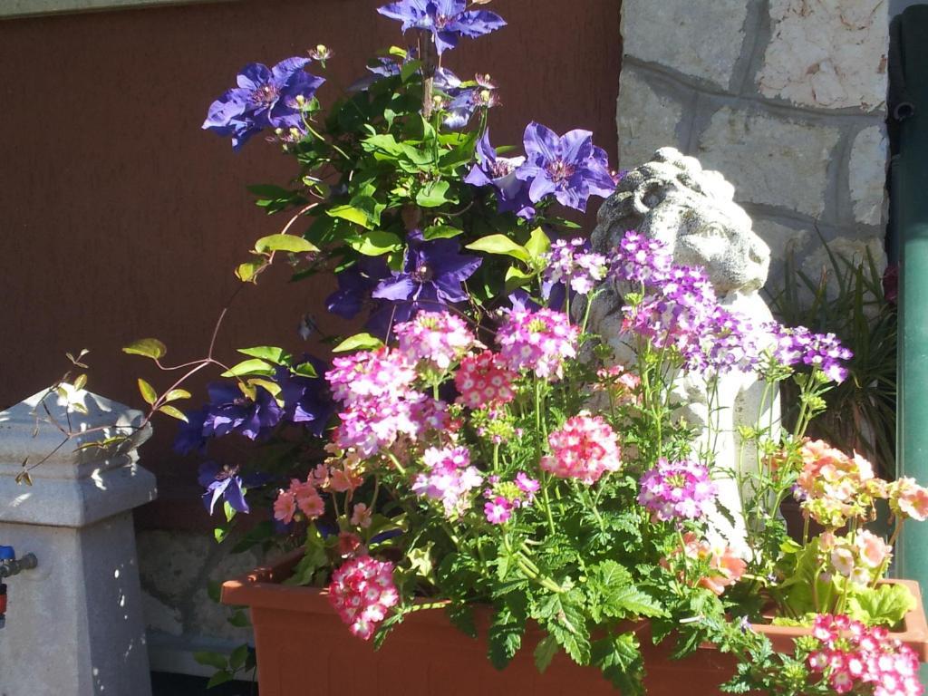 B&B Desenzano Дезенцано-дель-Гарда Экстерьер фото